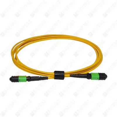 MPO Trunk Patch Cord 2 MPO Trunk Patch Cord 2